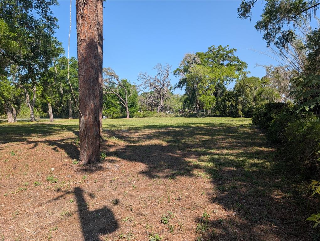 A large, grassy, wooded lot with several mature trees under a clear blue sky — 8519 ADONIS RD, NEW PORT RICHEY, FL