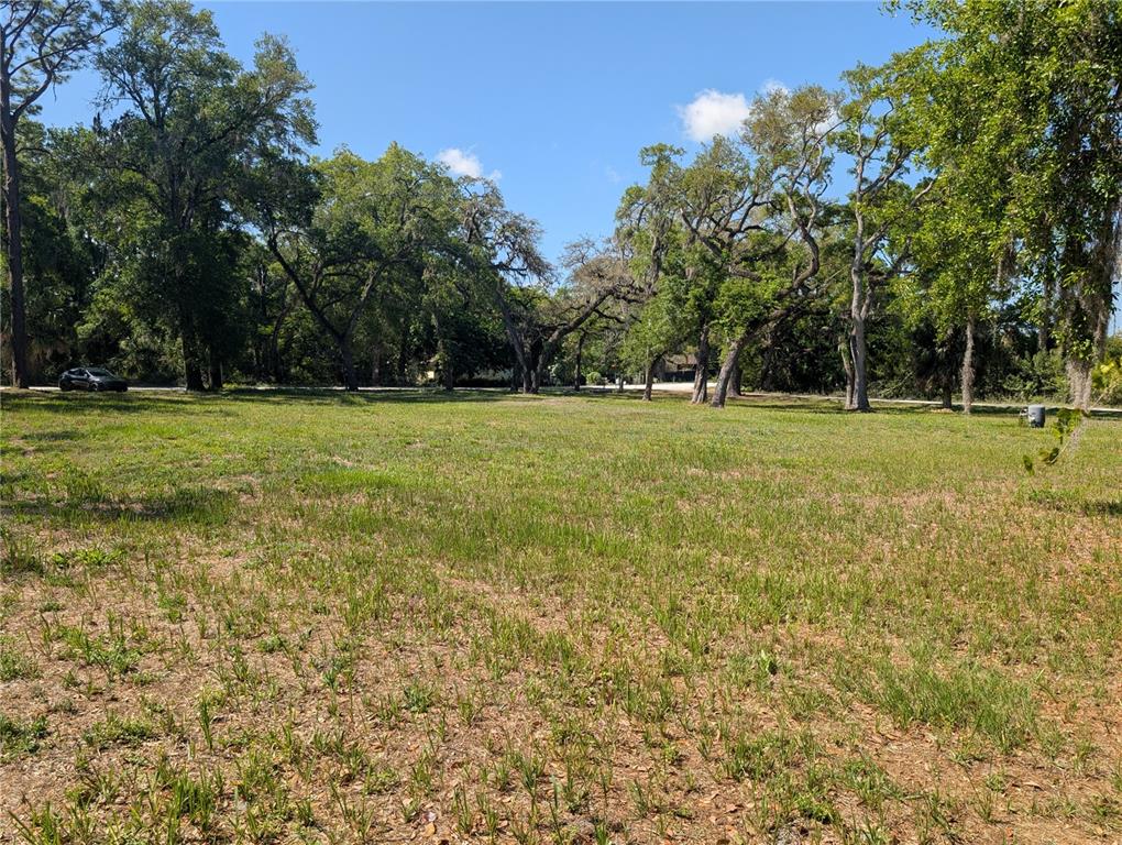 A grassy, vacant lot is surrounded by mature trees under a clear blue sky — 8519 ADONIS RD, NEW PORT RICHEY, FL