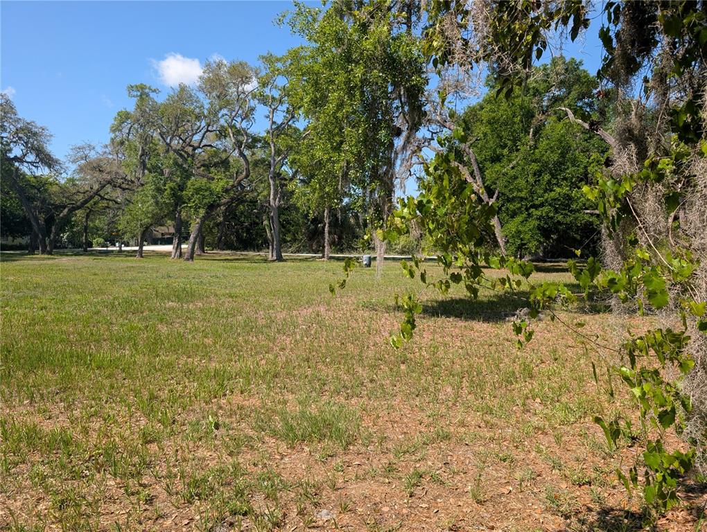 A grassy, open lot features several large, mature trees with hanging Spanish moss — 8519 ADONIS RD, NEW PORT RICHEY, FL