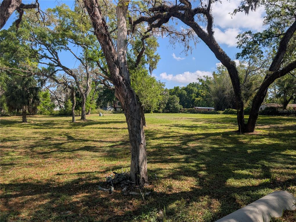 A large, grassy, vacant lot features several mature trees under a bright blue sky — 8519 ADONIS RD, NEW PORT RICHEY, FL