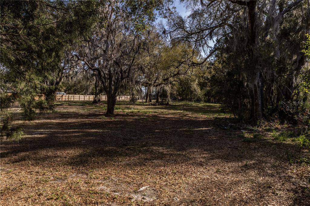 A large, wooded lot features mature trees with Spanish moss and a wooden fence — 100 S OLD WIRE ROAD, WILDWOOD, FL