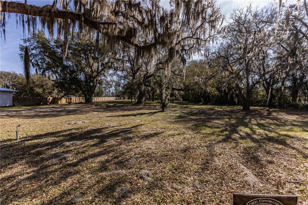 A large, grassy vacant lot features several mature oak trees draped with Spanish moss — 100 S OLD WIRE ROAD, WILDWOOD, FL