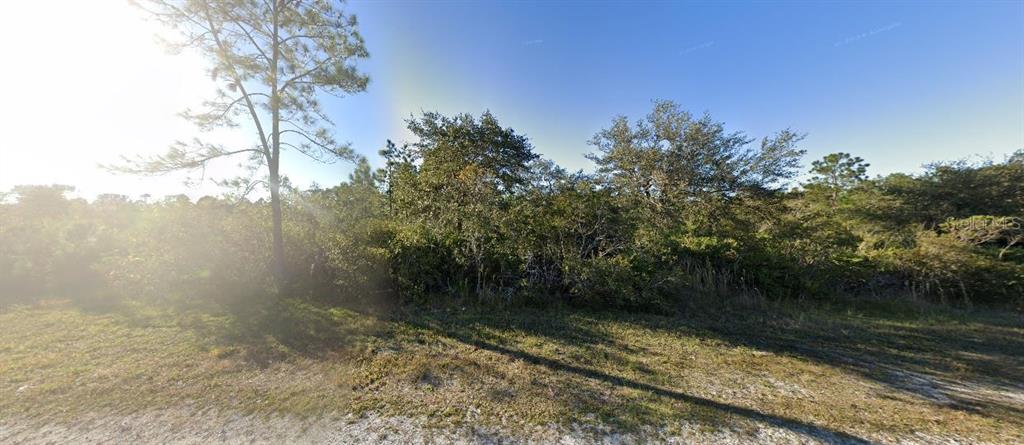A vacant, wooded lot with sandy ground and scattered trees under a bright, sunny sky — SARASOTA DRIVE, LAKE WALES, FL
