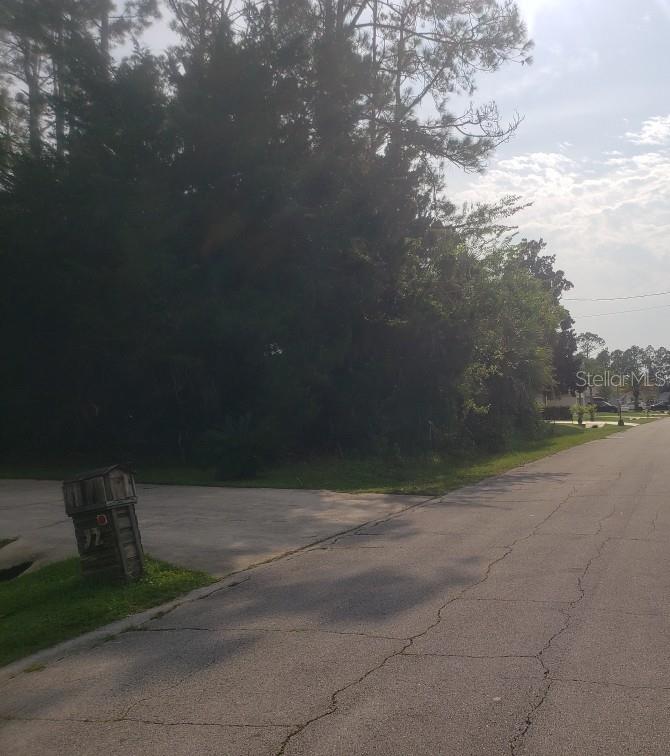 A paved road leads to a wooded, undeveloped residential lot with a wooden mailbox — 74 RANDOLPH DRIVE, PALM COAST, FL