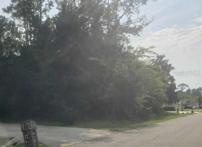 A vacant, wooded residential lot sits at the corner of a paved suburban street — 74 RANDOLPH DRIVE, PALM COAST, FL