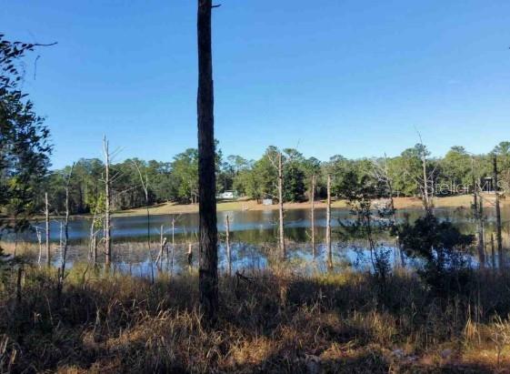 A view of a lake framed by trees and tall grass under a clear blue sky — Lot 138 SE 168TH TERRACE, OCKLAWAHA, FL