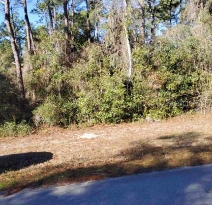 A view of a vacant, wooded lot with a paved road in the foreground — Lot 138 SE 168TH TERRACE, OCKLAWAHA, FL