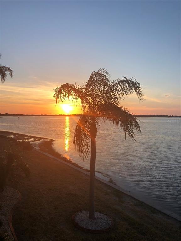 7 DUNOON PLACE UNIT 203, DUNEDIN, FL — photo 2 of 29