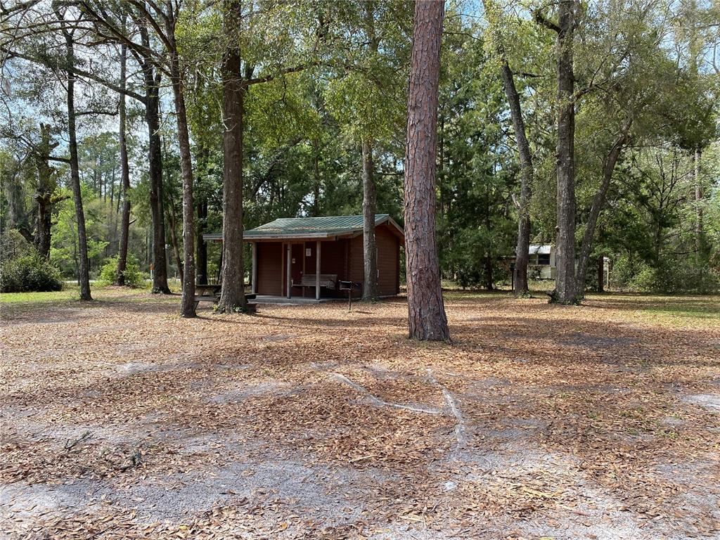 A small wooden cabin with a metal roof sits among trees in a wooded area — 8587 SW ELIM CHURCH ROAD, FORT WHITE, FL