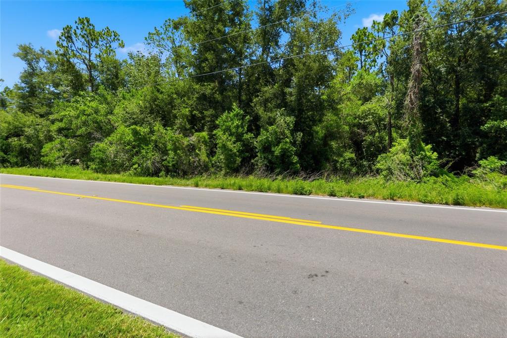 A paved road with yellow center lines runs in front of a dense wooded area — CENTENNIAL ROAD, DADE CITY, FL