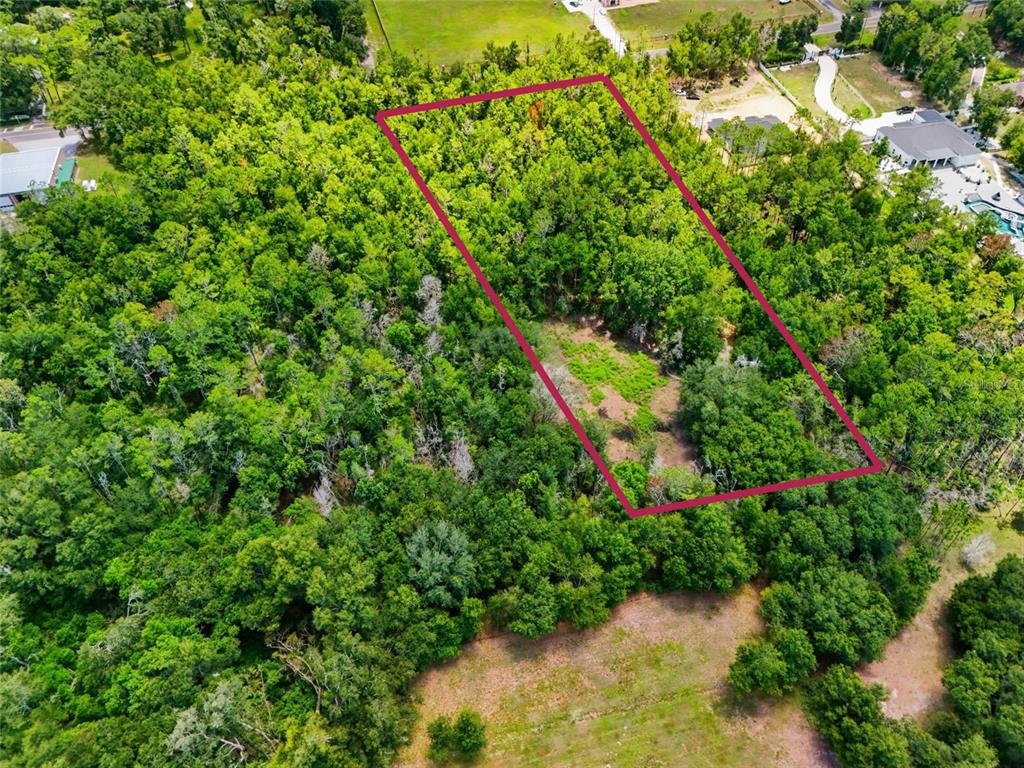 An aerial view shows a rectangular plot of land outlined in red amidst dense forest — CENTENNIAL ROAD, DADE CITY, FL