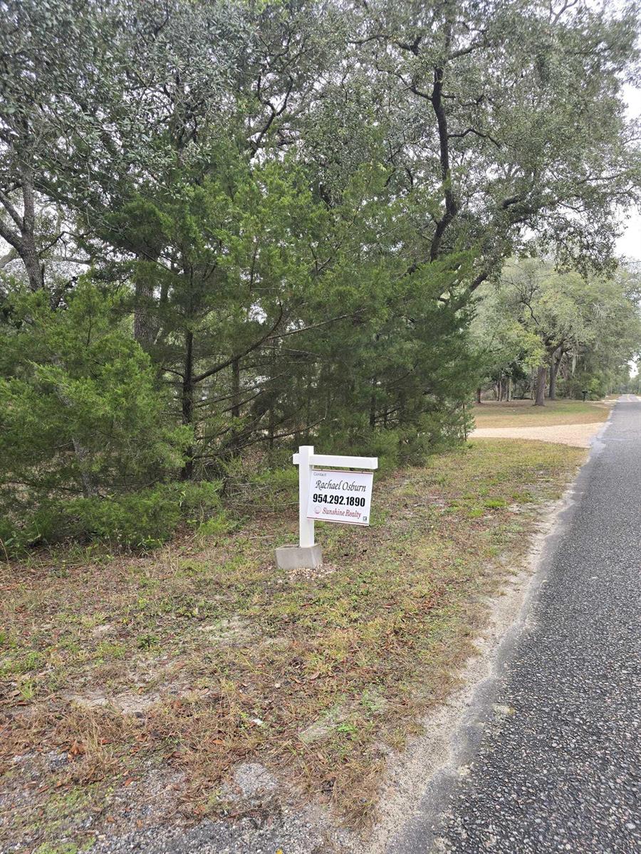 A real estate sign stands on a grassy roadside in front of a wooded lot — 12890 NW 90th Avenue, FL 32626, FL