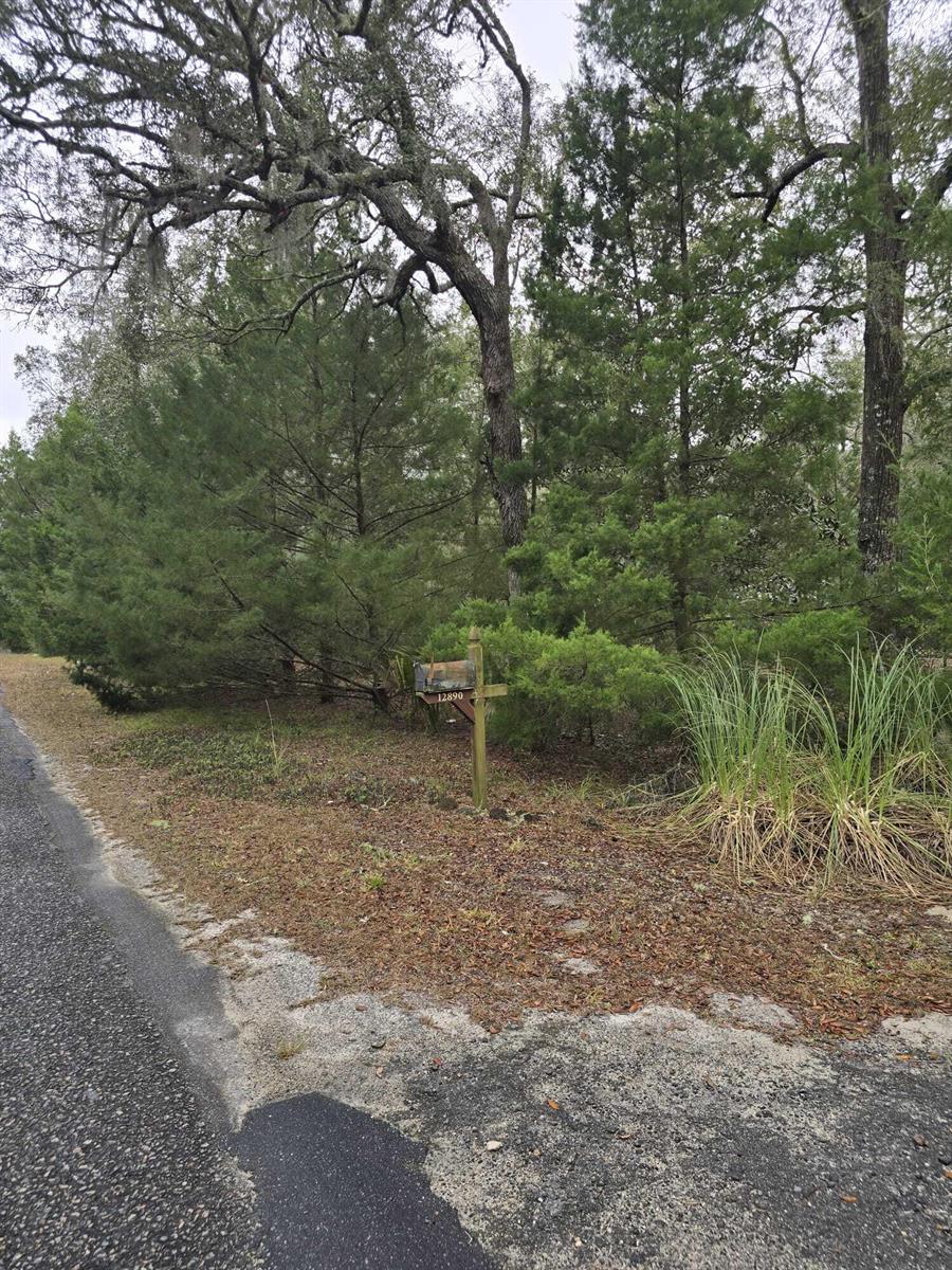 A mailbox stands on a wooden post beside a paved road in a wooded area — 12890 NW 90th Avenue, FL 32626, FL