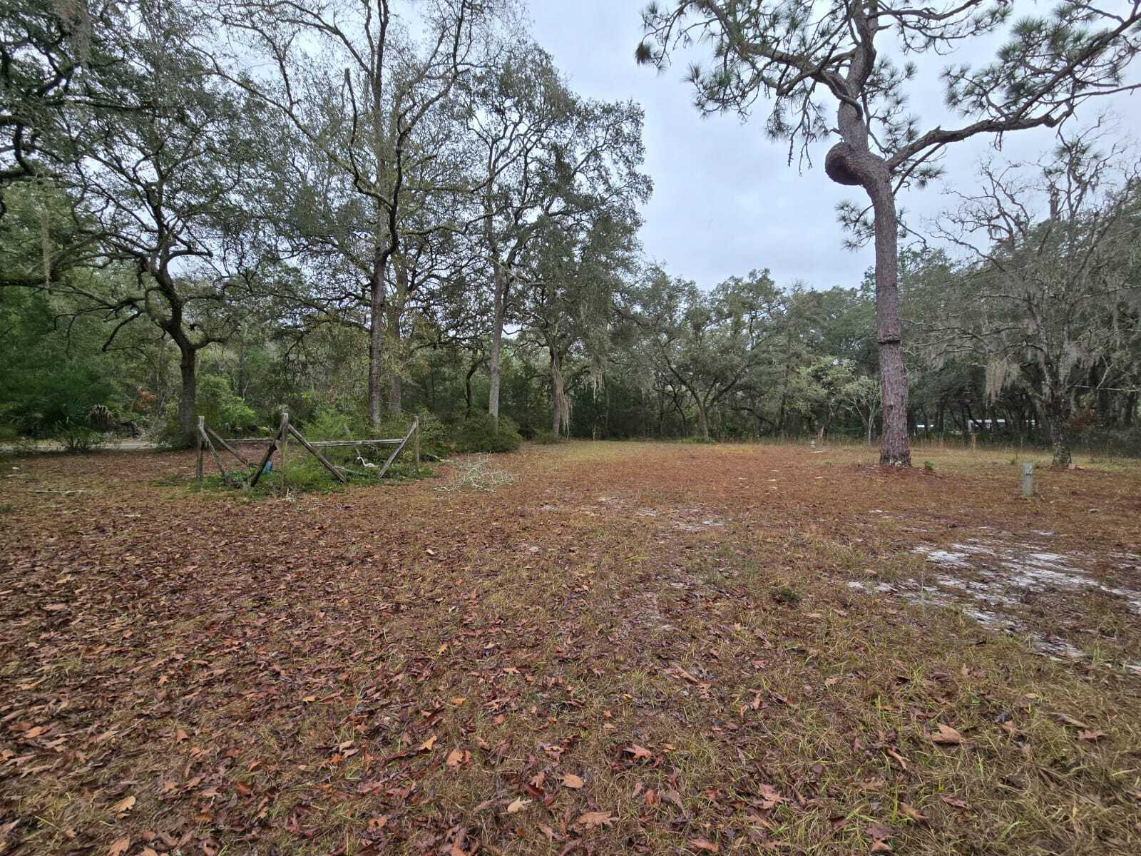 A large, grassy, leaf-covered lot surrounded by mature trees with a small wooden fence — 12890 NW 90th Avenue, FL 32626, FL