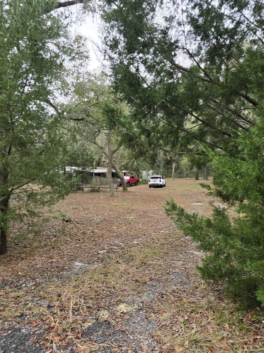 A red pickup truck and a white SUV are parked in a clearing near trees — 12890 NW 90th Avenue, FL 32626, FL