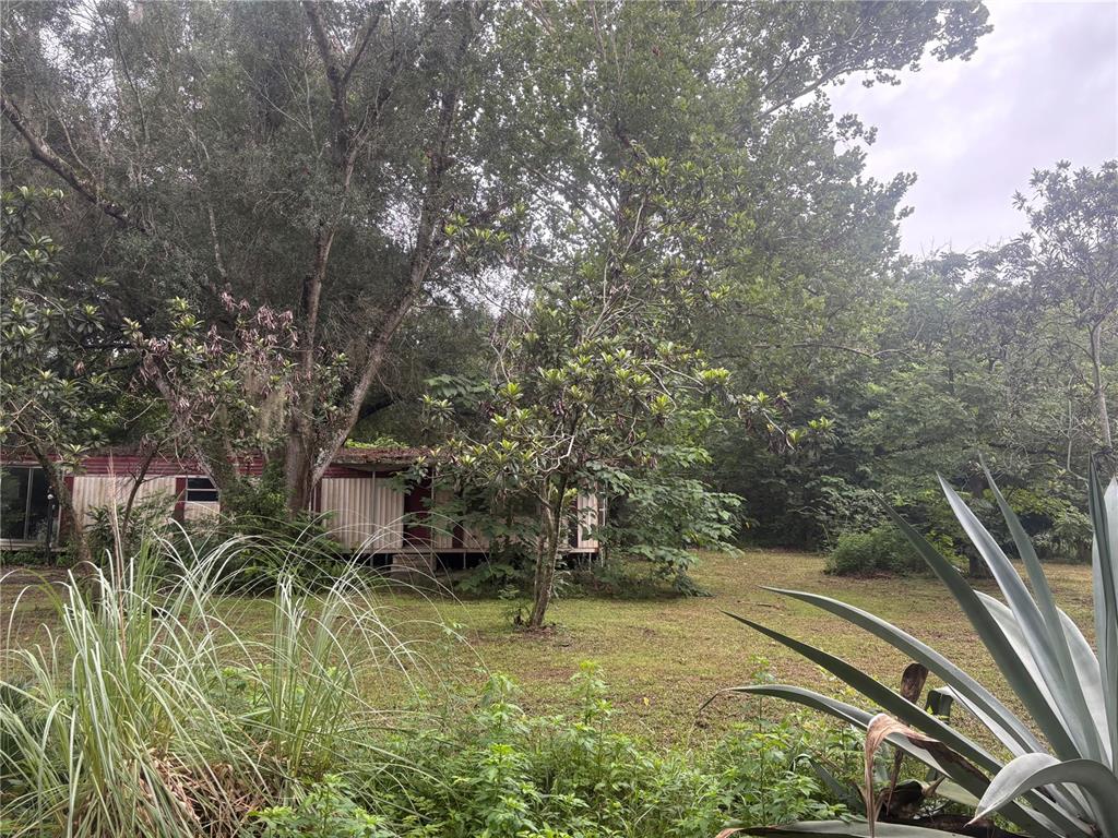 A weathered mobile home sits on a grassy lot surrounded by mature trees and vegetation — 9200 CR 205B, WILDWOOD, FL