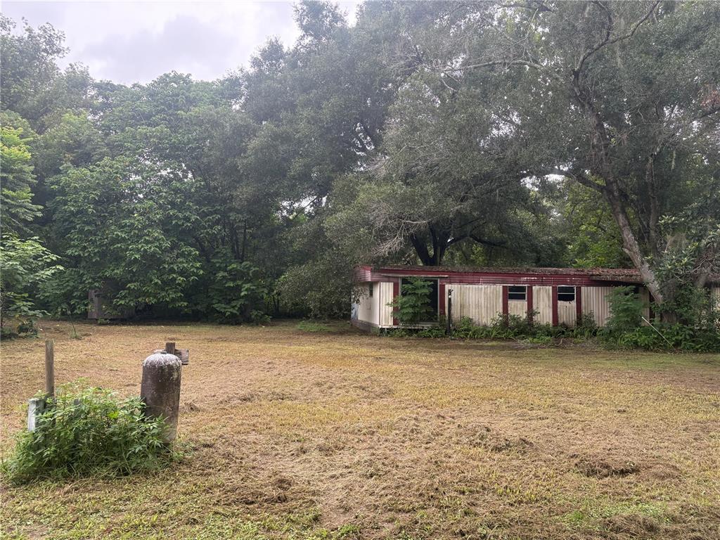 A weathered mobile home sits on a large, grassy lot surrounded by dense trees — 9200 CR 205B, WILDWOOD, FL