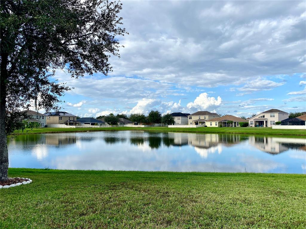 A grassy lawn overlooks a calm pond with residential houses in the background — 10812 ANCIENT FUTURES DRIVE, TAMPA, FL