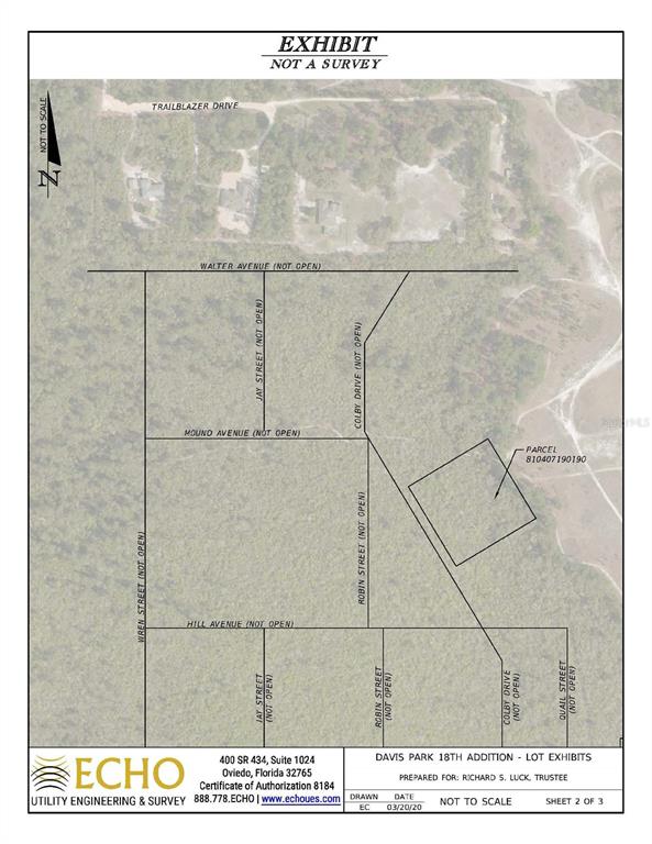 This is a land survey map showing parcel 810407190190 and surrounding undeveloped street grids — COLBY (PAPER) DRIVE, DELTONA, FL