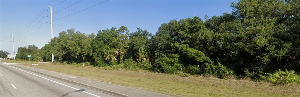 A grassy roadside area leads to a dense line of trees and power lines — 19400 VETERANS BOULEVARD UNIT 3, PORT CHARLOTTE, FL