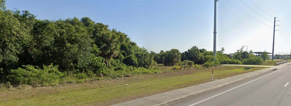 A grassy roadside lot with dense trees and utility poles under a clear blue sky — 19400 VETERANS BOULEVARD UNIT 3, PORT CHARLOTTE, FL