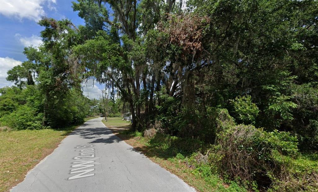 A paved road winds through a wooded area with dense trees and hanging Spanish moss — NW 2ND, WEBSTER, FL