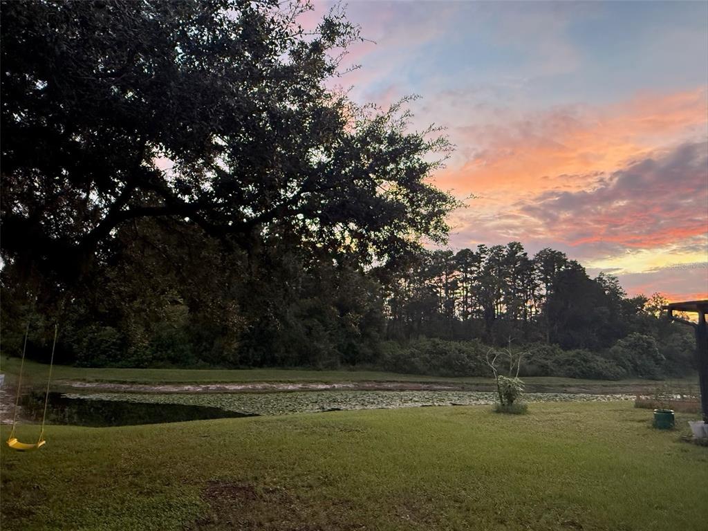 5903 CAPE LOOP, LAND O LAKES, FL — photo 2 of 30