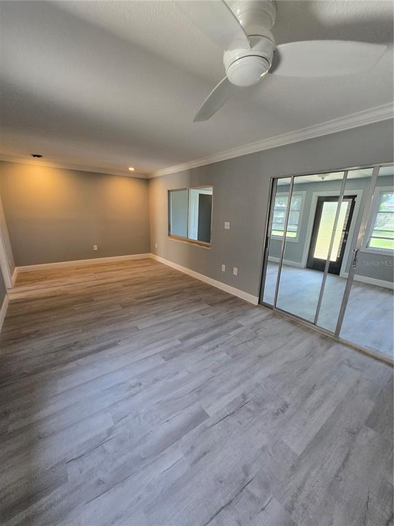 A room with gray walls, light wood-look flooring, a ceiling fan, and sliding glass doors — 4836 ONYX LANE UNIT B, NEW PORT RICHEY, FL