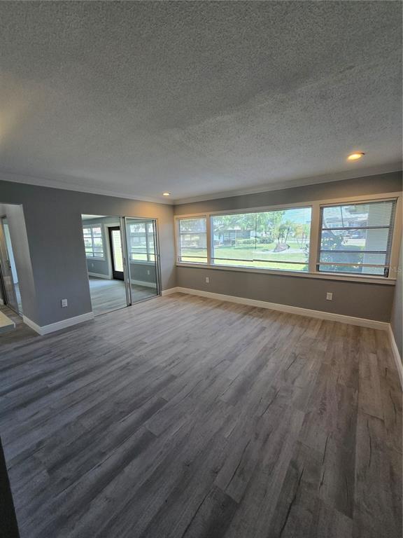 An empty living room features gray walls, wood-look flooring, and large windows overlooking a lawn — 4836 ONYX LANE UNIT B, NEW PORT RICHEY, FL