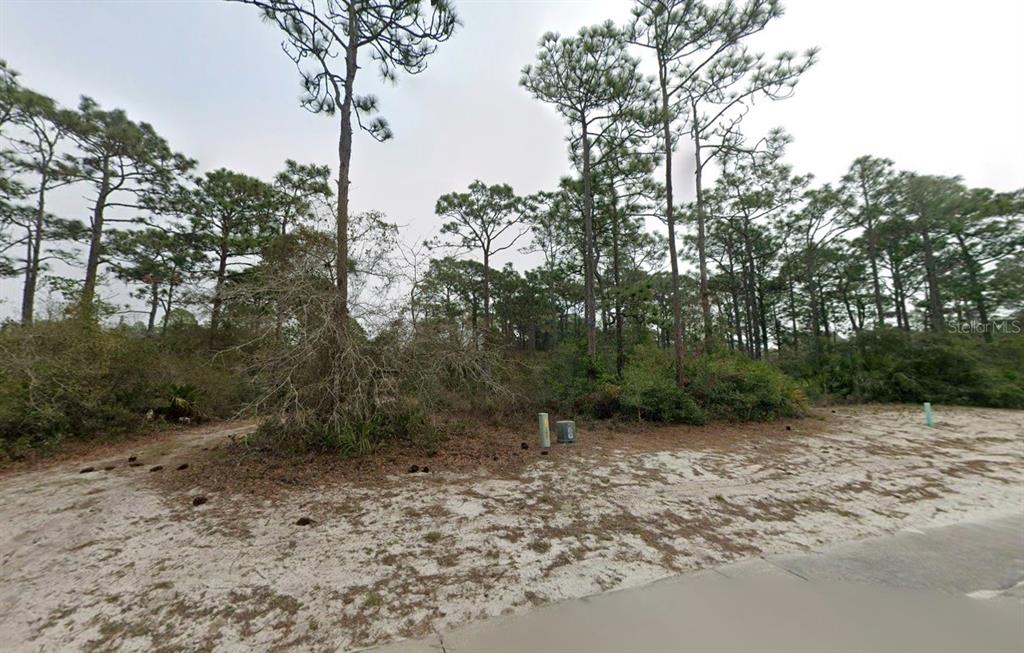 A vacant, sandy lot features scattered pine trees and dense brush under an overcast sky — 214 ROYAL TERN WAY, CARRABELLE, FL