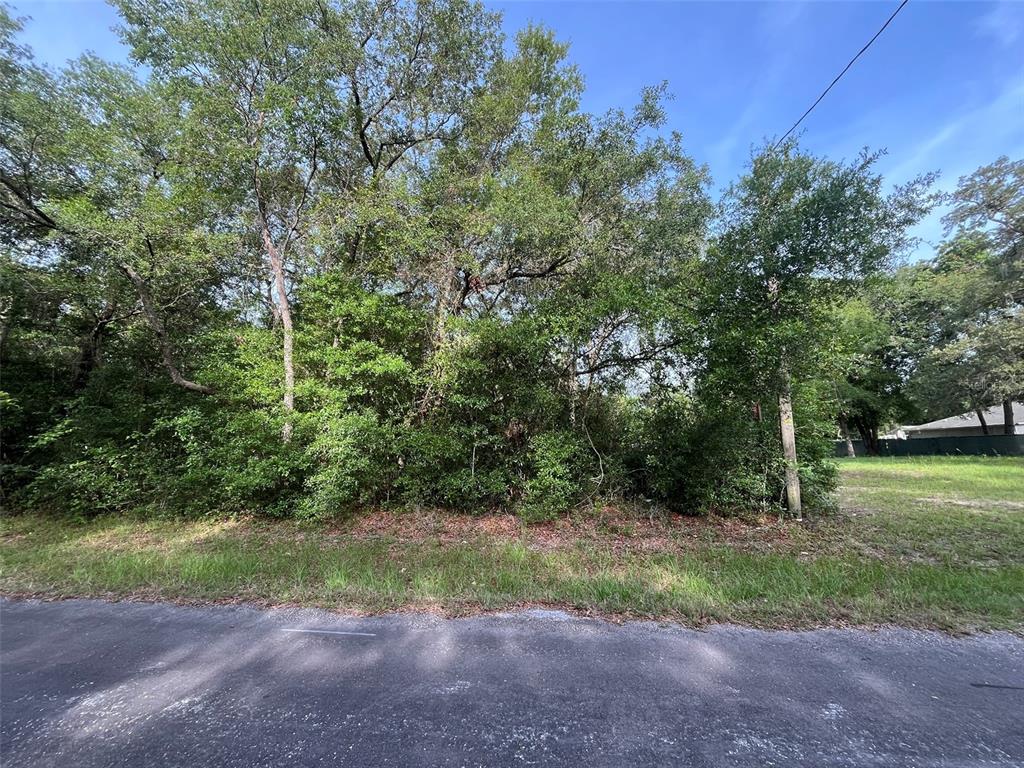 A dense, wooded vacant lot sits adjacent to a paved road under a blue sky — 6634 N PAGODA TREE TERRACE, HERNANDO, FL