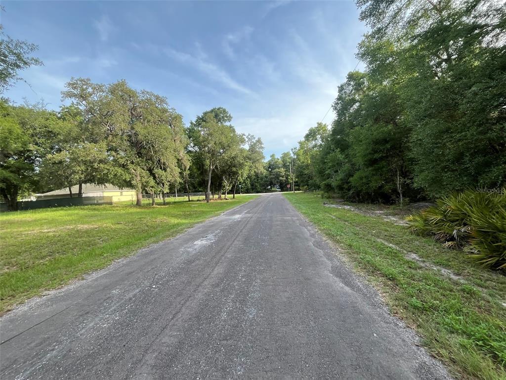 A paved road stretches through a wooded residential area with grassy lots on both sides — 6634 N PAGODA TREE TERRACE, HERNANDO, FL