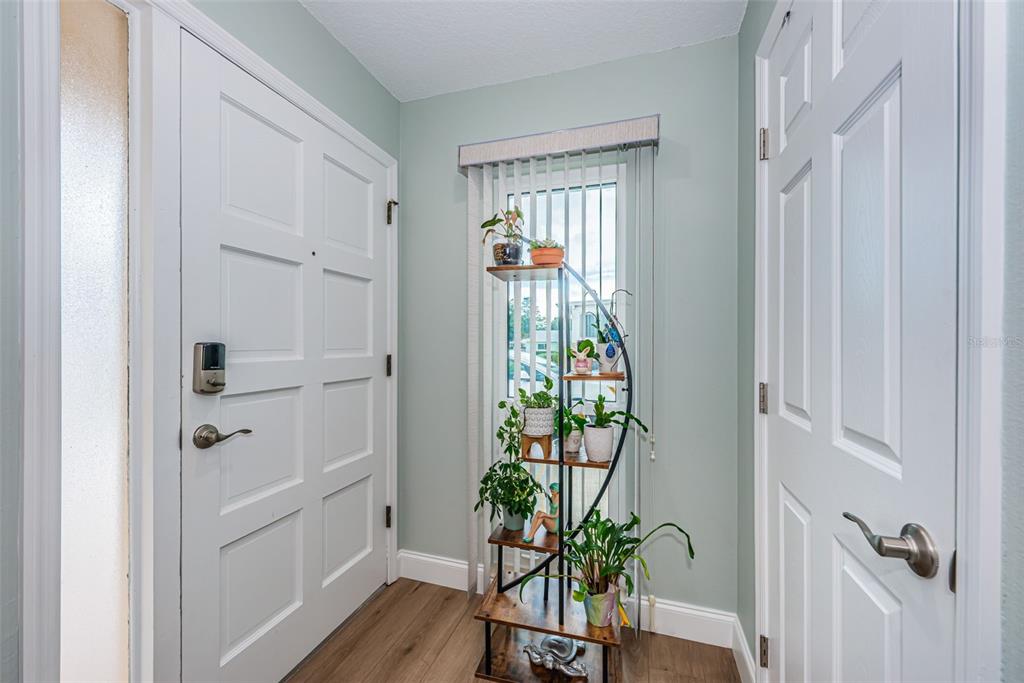 An entryway features a white door, light green walls, wood-look flooring, and a plant stand — 2735 SHERBROOKE LANE UNIT C, PALM HARBOR, FL