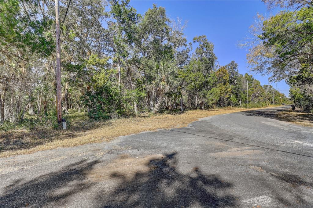 A paved road curves past a wooded lot with tall trees and a utility pole — 6392 S WESTVIEW DRIVE, HOMOSASSA, FL