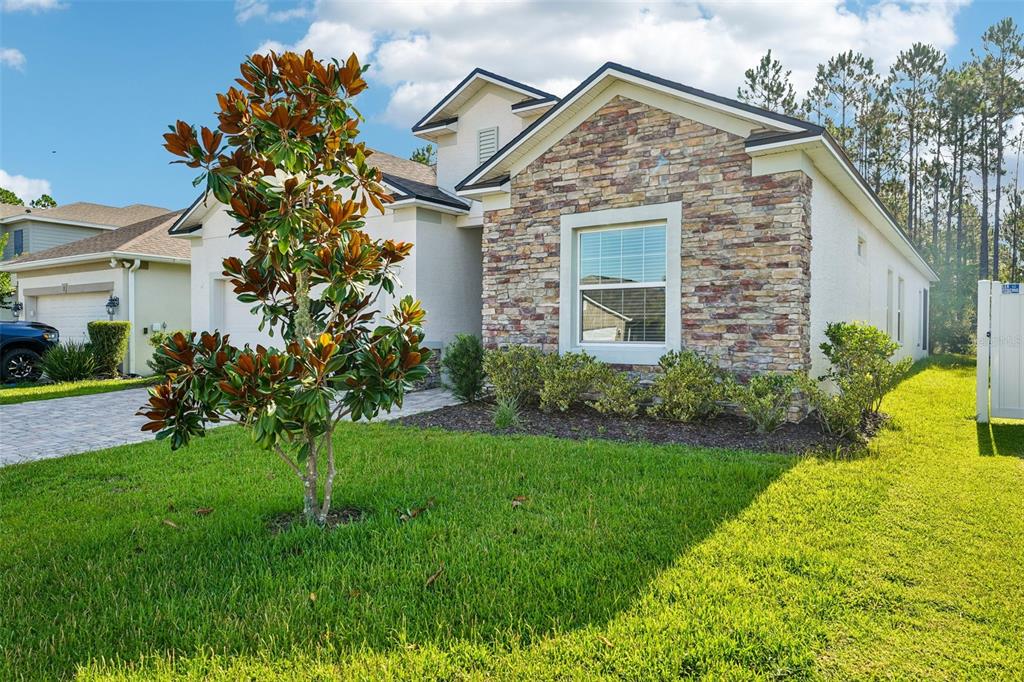 A single-story house with a stone facade, a paved driveway, and a magnolia tree — 5 RIVERTOWN ROAD, PALM COAST, FL