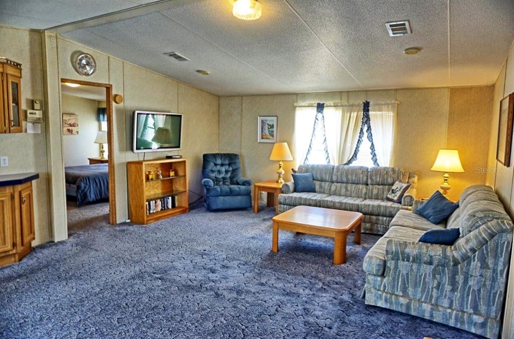 A living room with blue carpet, two patterned sofas, a recliner, and a wooden coffee table — 2016 LAKE LINDA CIRCLE, LUTZ, FL