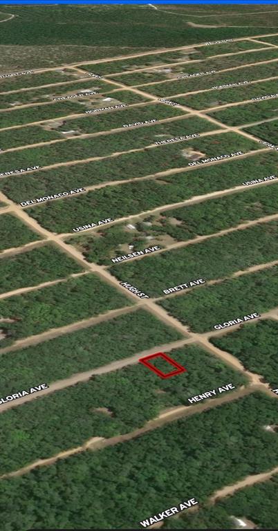 An aerial map view shows a rectangular plot of land highlighted in red — LOT 20 GLORIA AVENUE, INTERLACHEN, FL