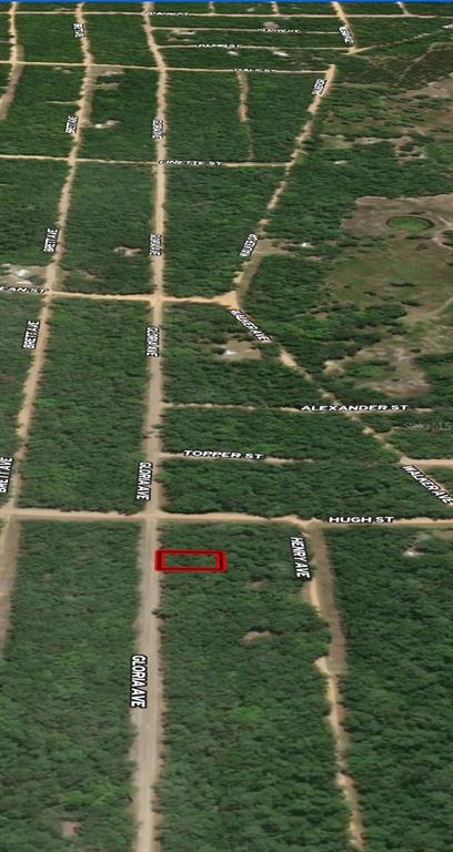 This is an aerial map showing a vacant lot outlined in red — LOT 20 GLORIA AVENUE, INTERLACHEN, FL