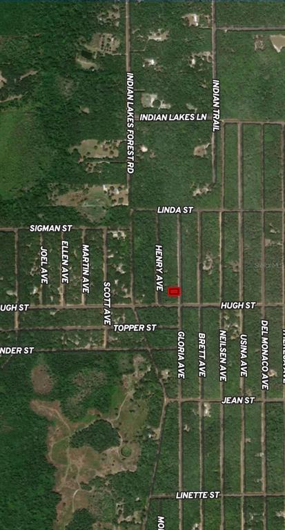 This is an aerial map showing a red-outlined property lot located near Henry Avenue — LOT 20 GLORIA AVENUE, INTERLACHEN, FL