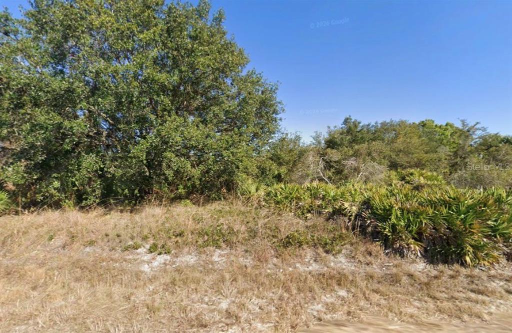A view of a vacant, wooded lot with dry grass and dense vegetation — 1316 POINSETTIA AVENUE, LEHIGH ACRES, FL