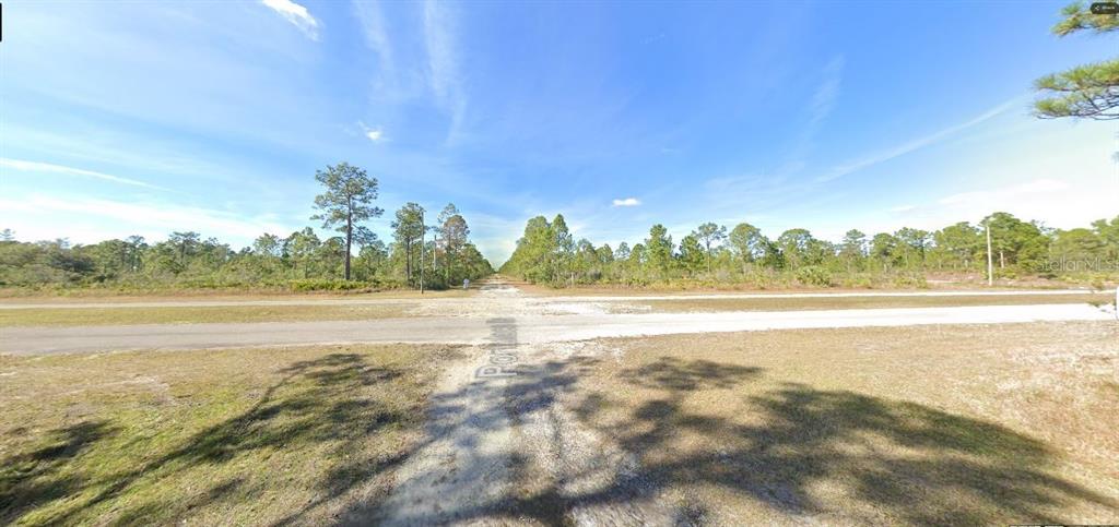 A dirt road intersects a paved road in a rural, wooded area under a blue sky — PORTULACA DRIVE, INDIAN LAKE ESTATES, FL
