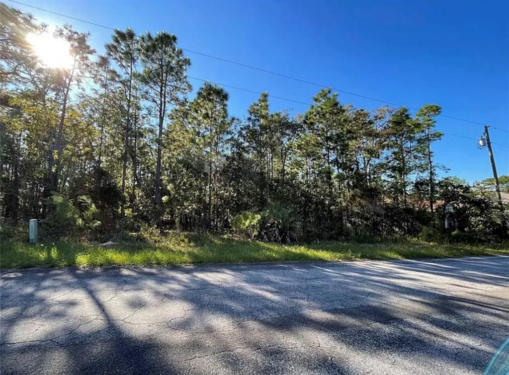 A paved road runs in front of a wooded, undeveloped lot under a clear blue sky — 16 MAYTEN COURT N, HOMOSASSA, FL