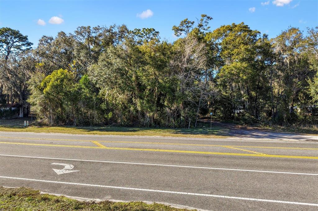 A paved road runs in front of a densely wooded, undeveloped lot — 1582 S US 301, SUMTERVILLE, FL