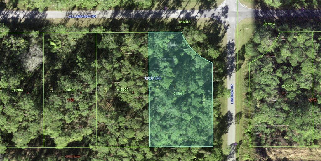 This is an aerial map showing a highlighted vacant residential lot with surrounding properties — 201 ALLAMANDA DRIVE, INDIAN LAKE ESTATES, FL