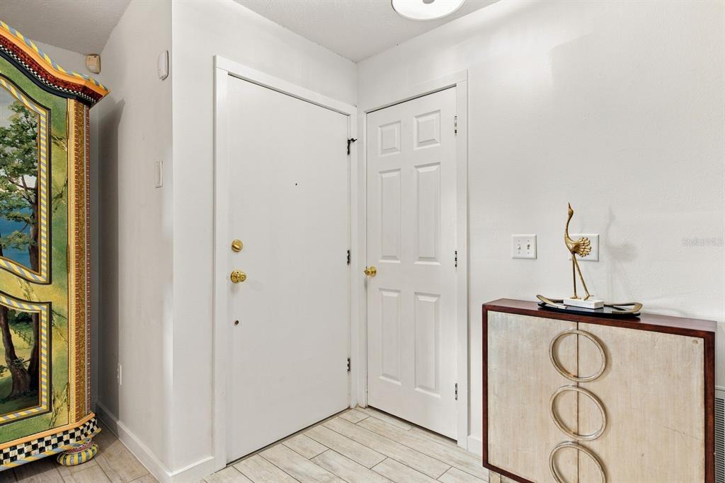 An entryway features a white front door, a six-panel door, and a decorative cabinet — 1111 CARLTON ROAD, TARPON SPRINGS, FL
