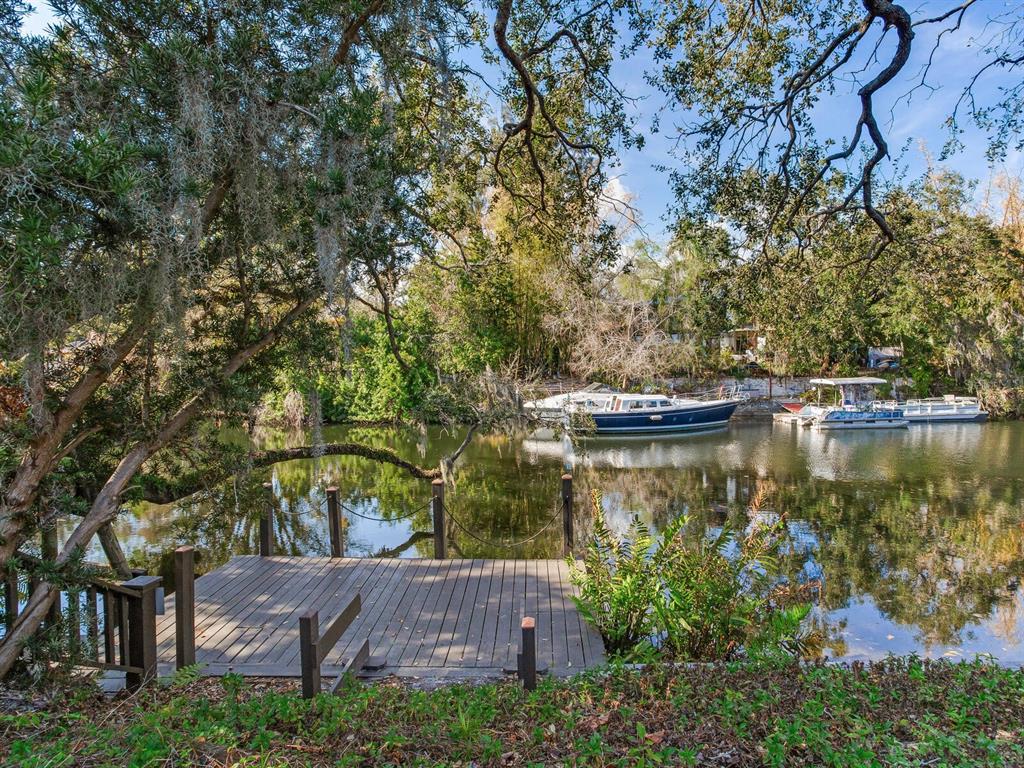 1214 E PARK CIRCLE, TAMPA, FL — photo 4 of 30