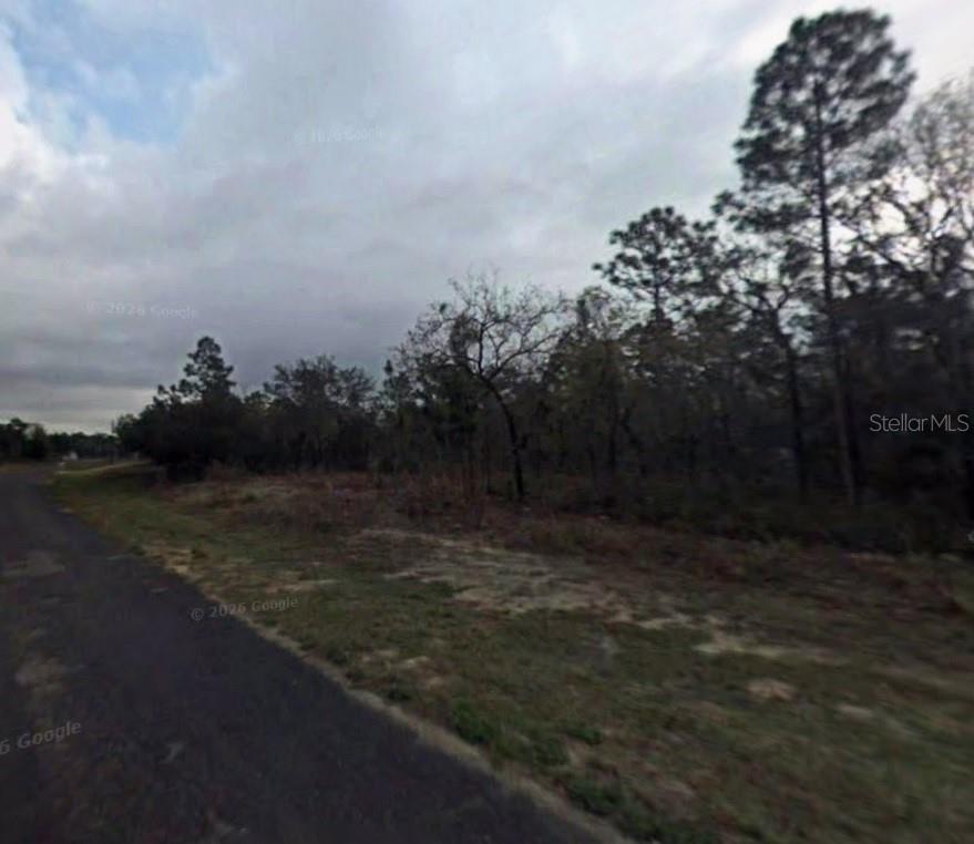 A paved road runs alongside a vacant, wooded lot under a cloudy sky — 9075 N MARCUS WAY, CITRUS SPRINGS, FL