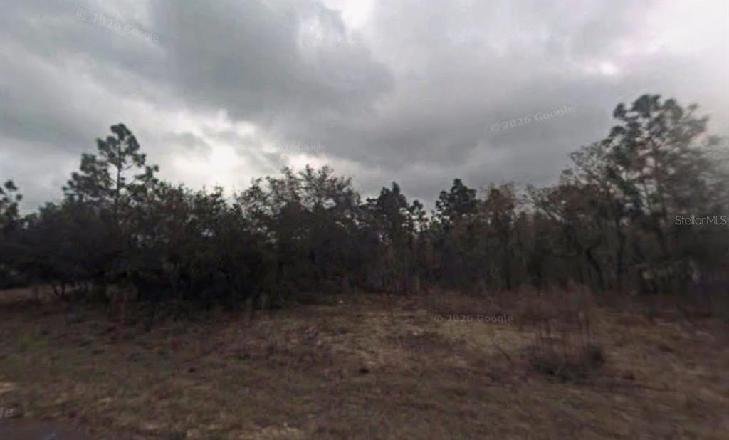 A view of a vacant, wooded lot under a cloudy sky — 9075 N MARCUS WAY, CITRUS SPRINGS, FL