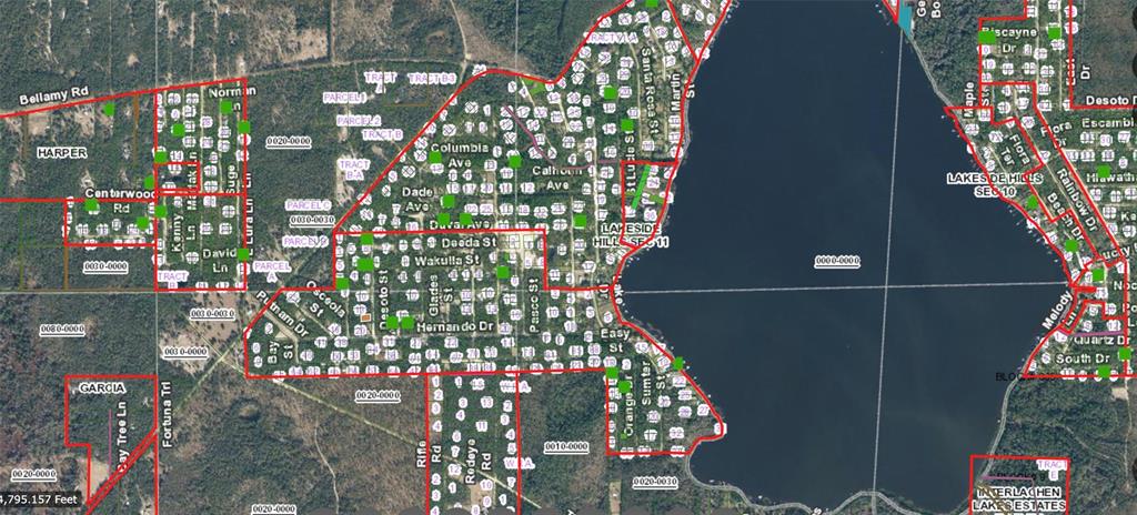 This is a map showing property parcels and street layouts surrounding a large lake — 105 DESOTO STREET, FLORAHOME, FL