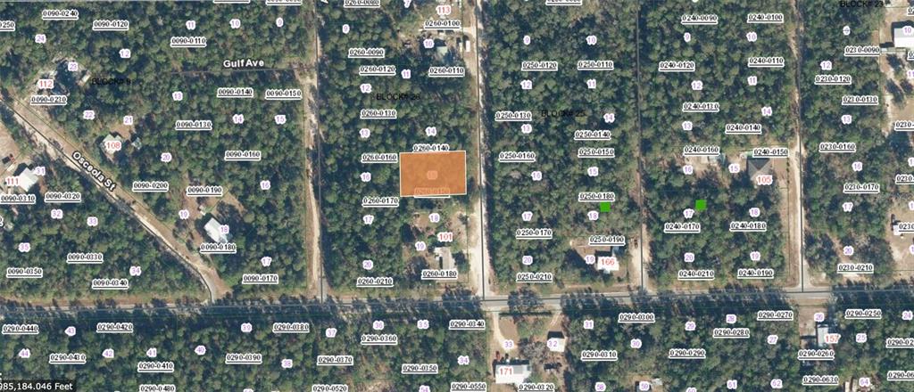 This is an aerial map showing wooded residential lots and street layouts — 105 DESOTO STREET, FLORAHOME, FL